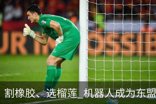 割橡胶、选榴莲 机器人成为东盟市场“新宠” 各国释放明确需求信号